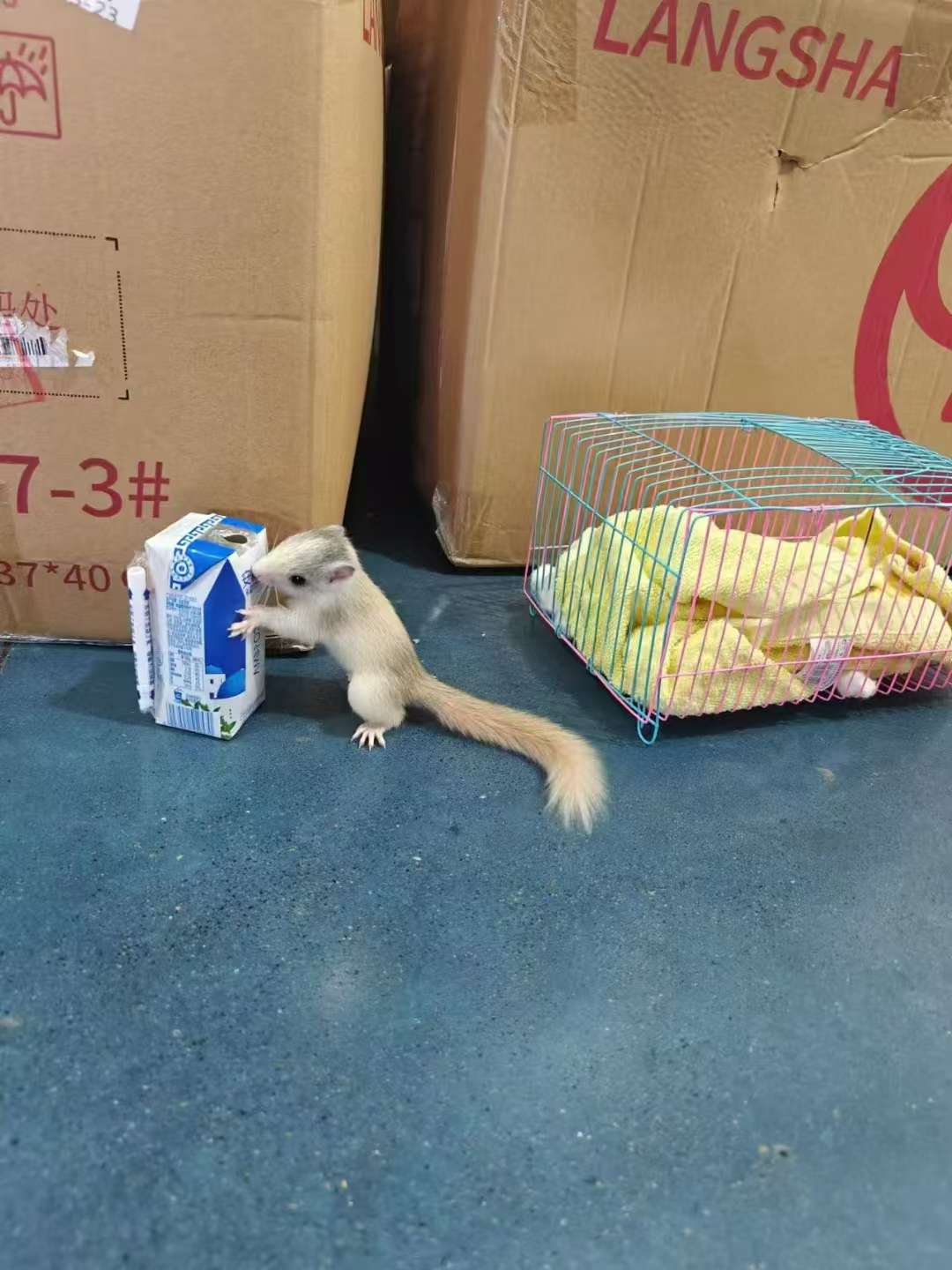 图片