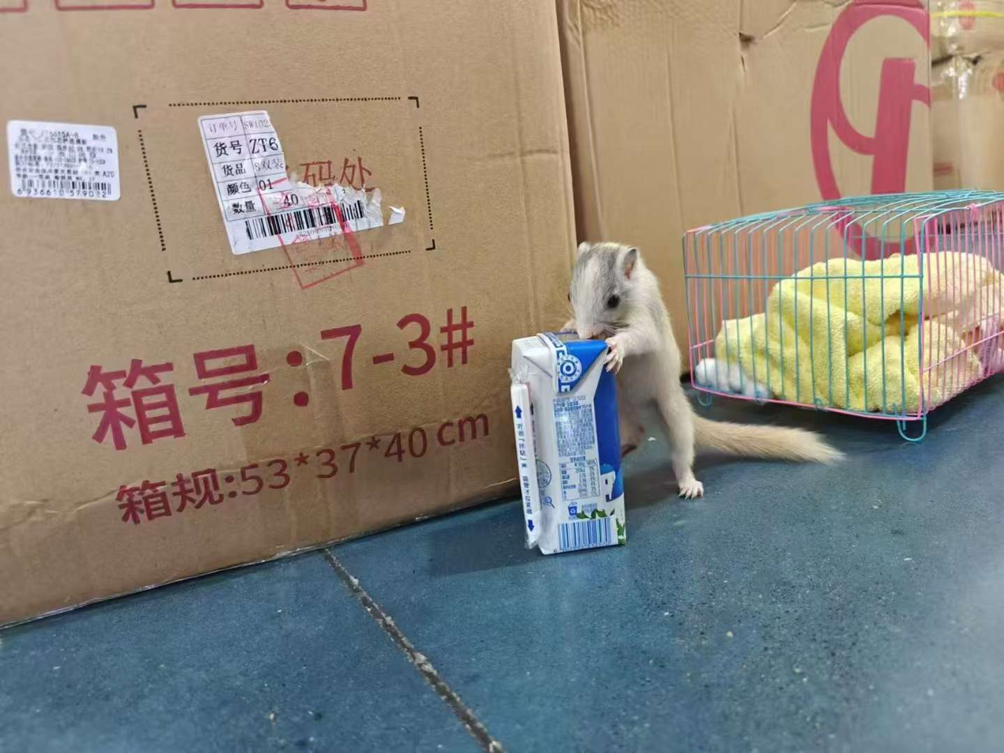 图片